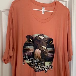 Bella Canvas brand T-shirt. Size 3X only worn once